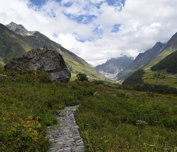 Valley-of-Flowers